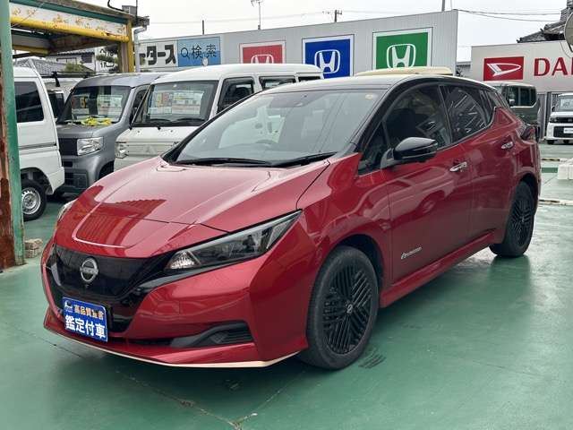 Nissan LEAF 2024 6316374-0