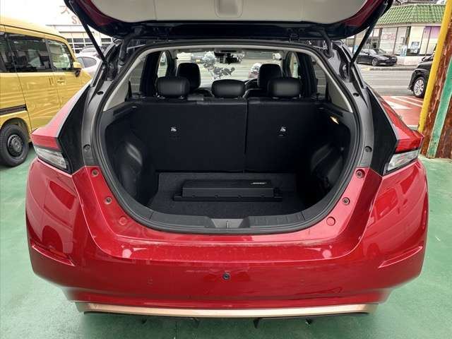 Nissan LEAF 2024 6316374-8