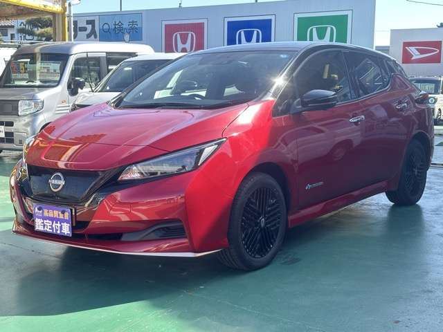 Nissan LEAF 2024 6316373-0