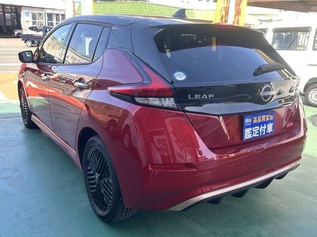 Nissan LEAF 2024 6316373-1