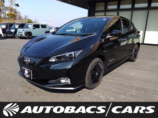Nissan LEAF 2024 6316412-0