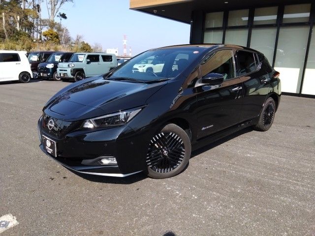Nissan LEAF 2024 6316412-5