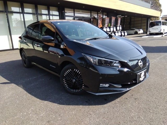Nissan LEAF 2024 6316412-6