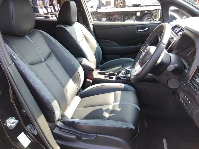 Nissan LEAF 2024 6316412-9
