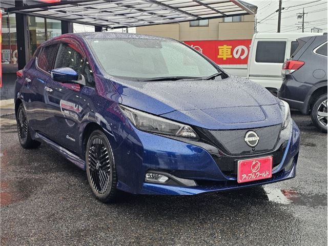Nissan LEAF 2023 6316473-5