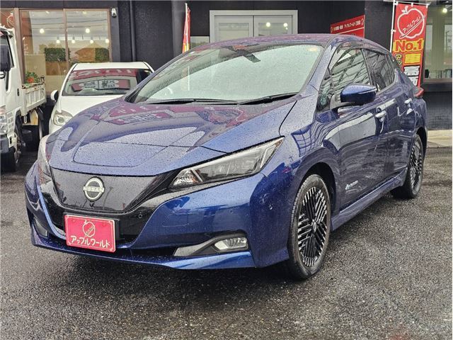 Nissan LEAF 2023 6316473-7