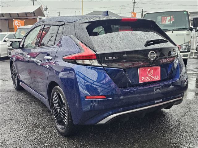 Nissan LEAF 2023 6316473-9