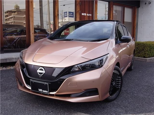 Nissan LEAF 2023 6316501-0