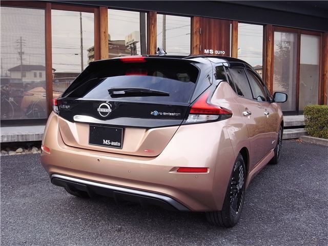 Nissan LEAF 2023 6316501-1