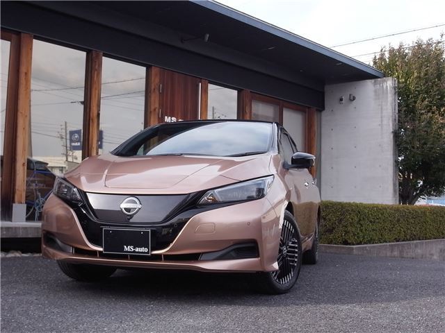Nissan LEAF 2023 6316501-10