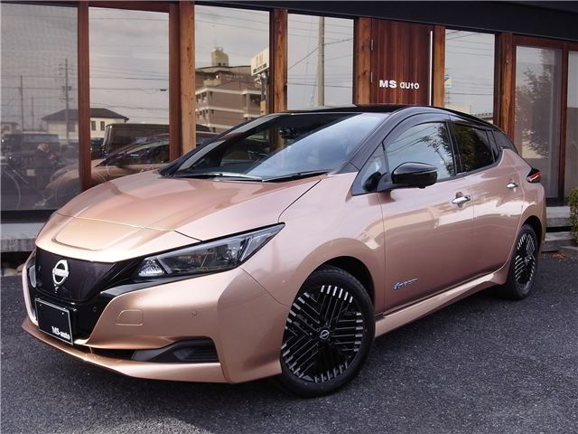 Nissan LEAF 2023 6316501-3
