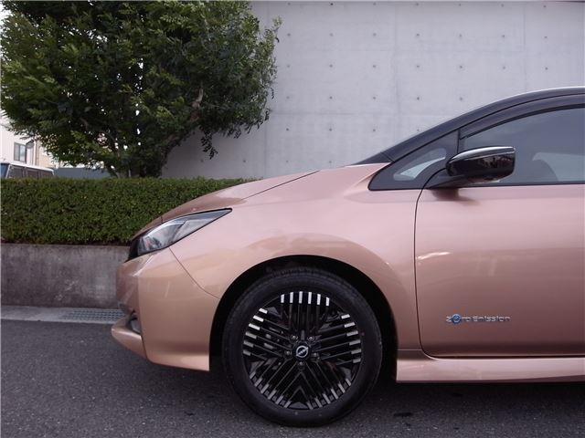 Nissan LEAF 2023 6316501-5