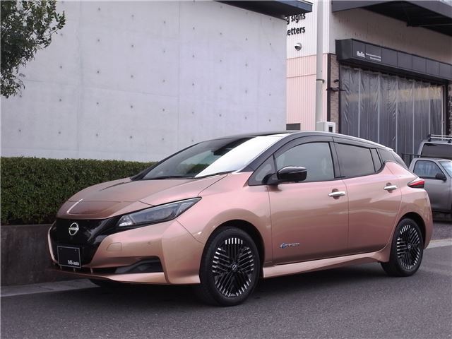 Nissan LEAF 2023 6316501-7