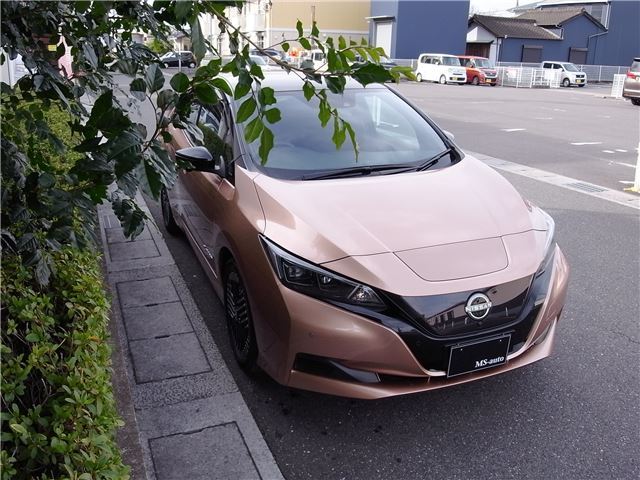 Nissan LEAF 2023 6316501-9