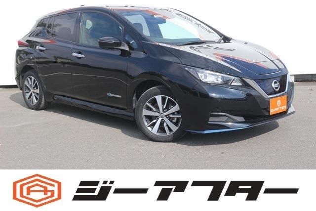 Nissan LEAF 2020 6317219-0