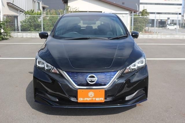 Nissan LEAF 2020 6317219-6