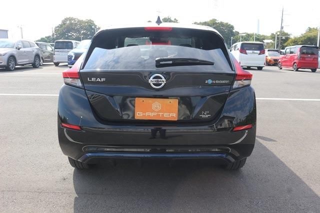 Nissan LEAF 2020 6317219-8