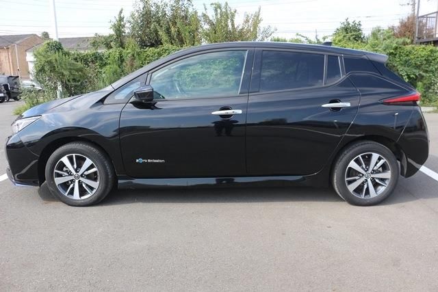 Nissan LEAF 2020 6317219-9