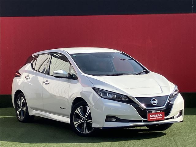 Nissan LEAF 2020 6317265-0