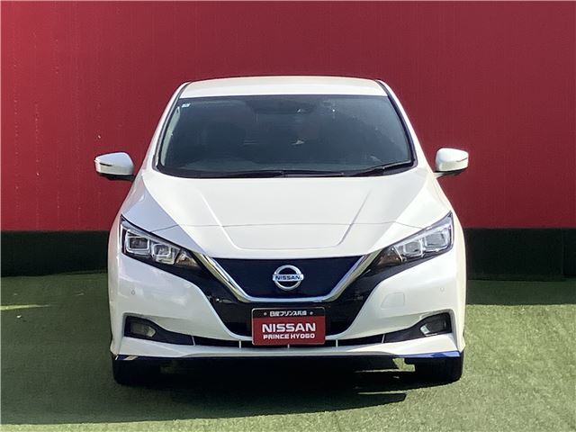 Nissan LEAF 2020 6317265-1