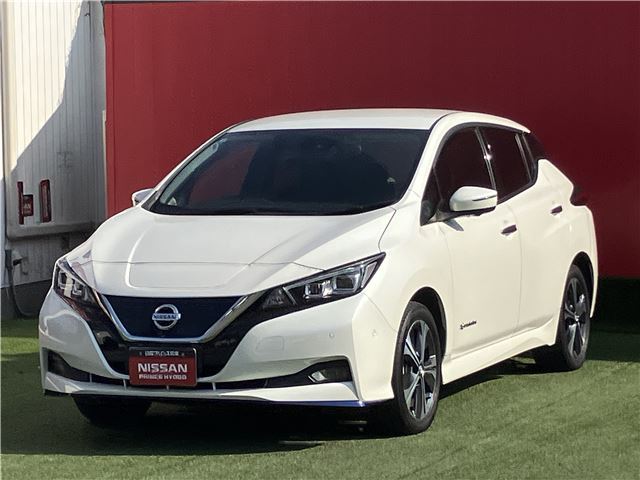 Nissan LEAF 2020 6317265-2