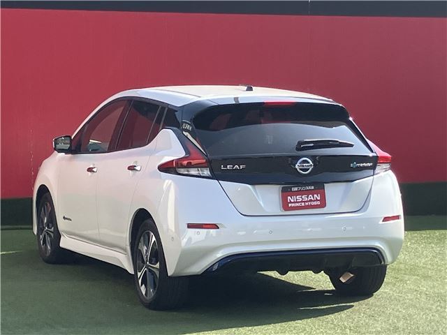 Nissan LEAF 2020 6317265-3