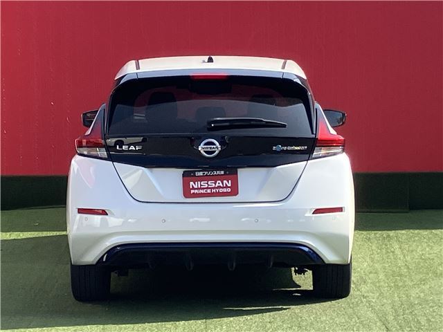 Nissan LEAF 2020 6317265-4