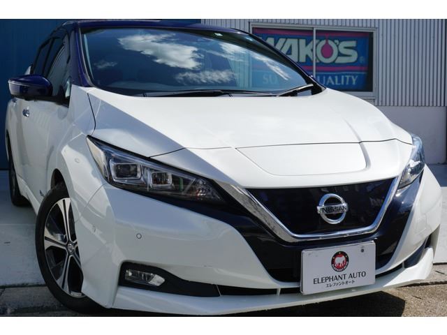 Nissan LEAF 2018 6318230-0