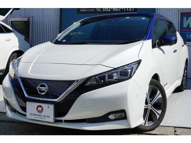 Nissan LEAF 2018 6318230-4