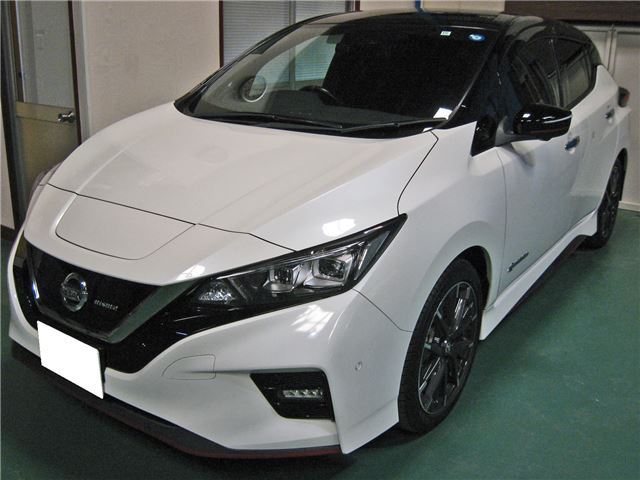 Nissan LEAF 2018 6318306-2
