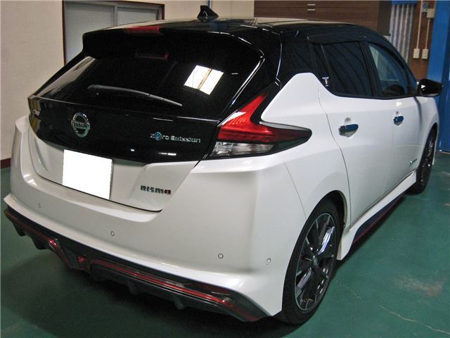 Nissan LEAF 2018 6318306-3