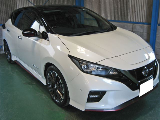 Nissan LEAF 2018 6318306-4