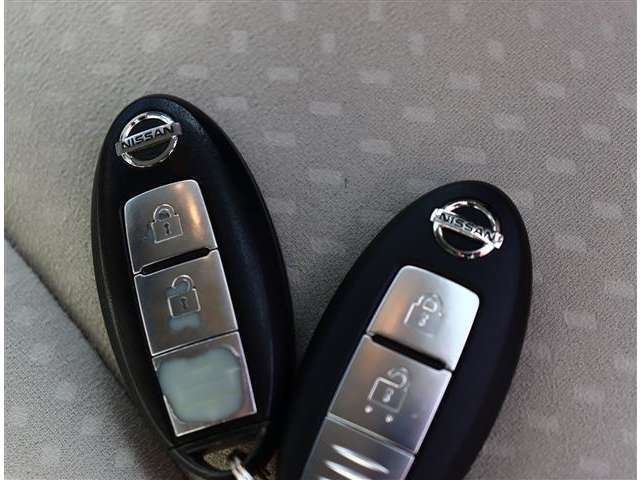 Nissan LEAF 2011 6318938-8