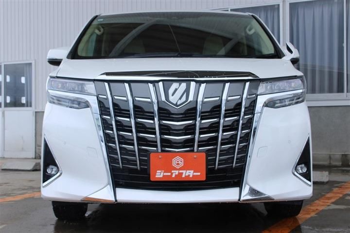 Toyota ALPHARD 2023 6351988-8