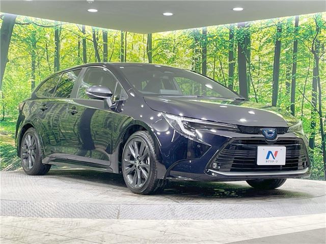 Toyota COROLLA TOURING 2023 6324424-6