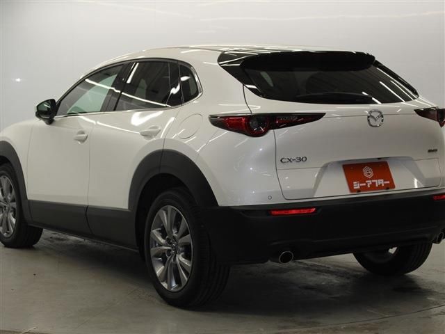 Mazda CX-30 2023 6324835-6