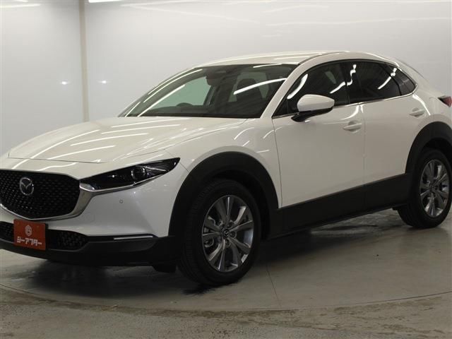 Mazda CX-30 2023 6324835-8