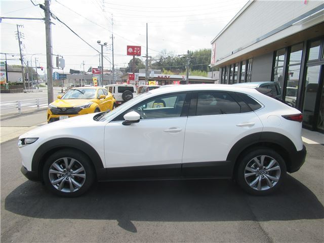 Mazda CX-30 2023 6324927-6