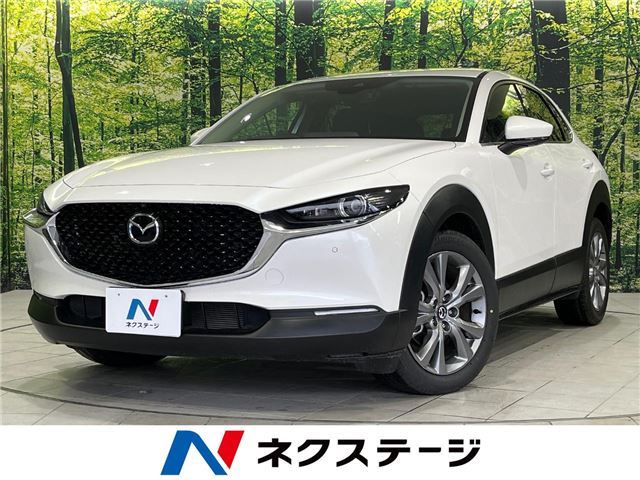 Mazda CX-30 2023 6325052-3