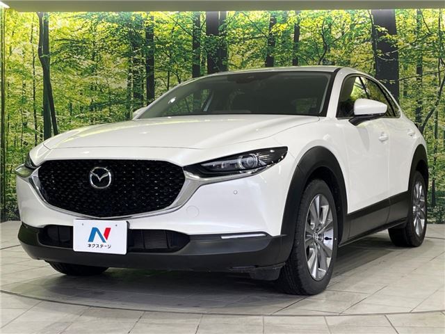 Mazda CX-30 2023 6325052-6