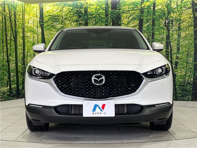 Mazda CX-30 2023 6325052-7