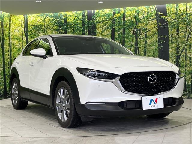 Mazda CX-30 2023 6325052-8