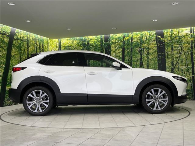 Mazda CX-30 2023 6325052-9