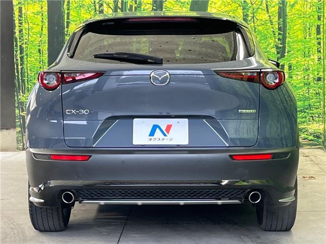 Mazda CX-30 2022 6325576-8