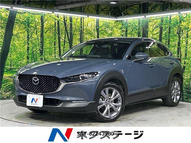 Mazda CX-30 2021 6326965-3