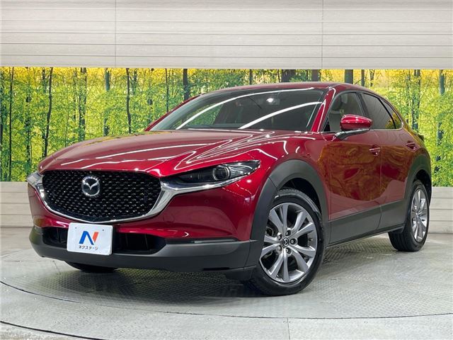 Mazda CX-30 2019 6328146-0