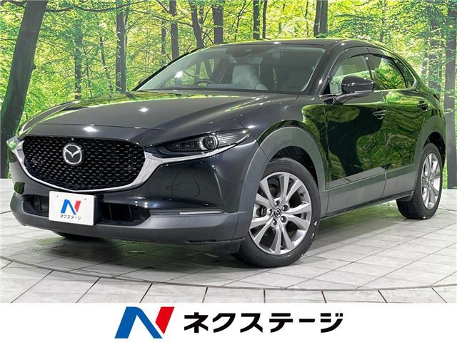 Mazda CX-30 2019 6328489-3