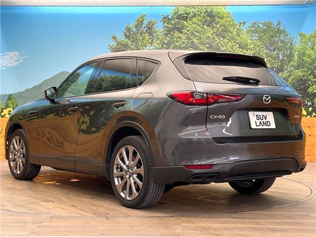 Mazda CX-60 2023 6333661-6