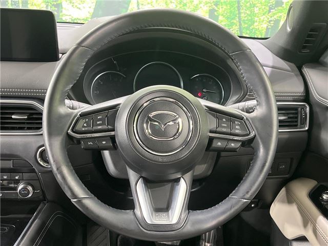 Mazda CX-8 2024 6338071-10