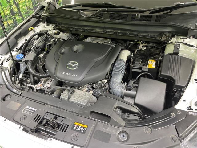 Mazda CX-8 2024 6338071-6